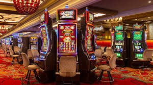 z50 In-Play Betting